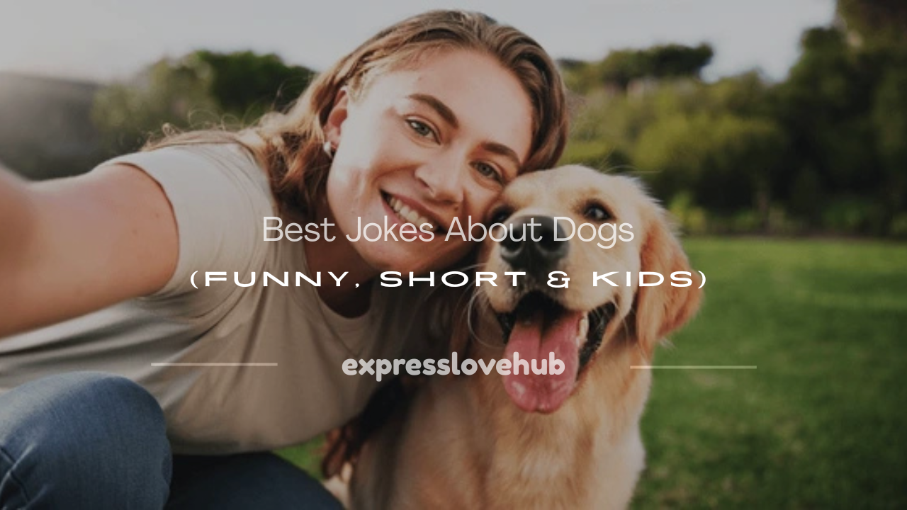 jokes about dogs